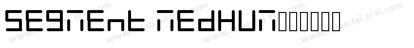 Segment Medium字体转换